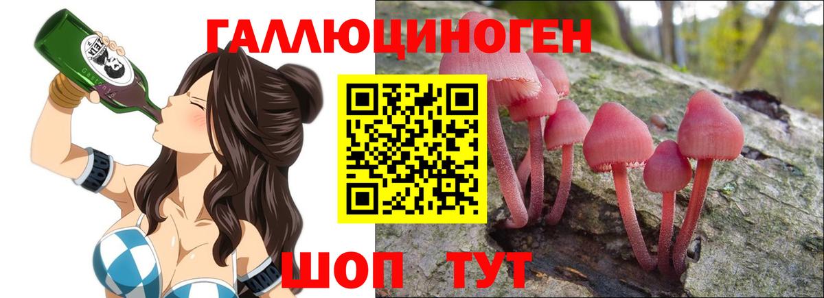 Псилоцибиновые грибы Magic Shrooms  Вход с VPN  Новосибирск  где найти   Псилоцибиновые грибы мухоморы 